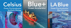 Blue Accelerator Programs